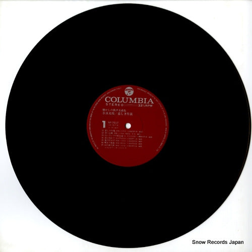 NP-7017 disc