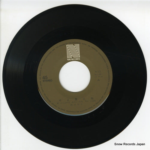 N-13 disc