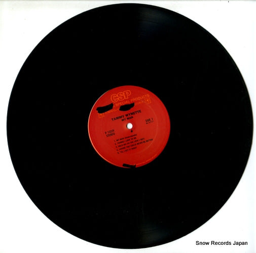 P13259 disc