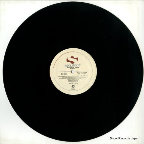 SEQ8006-6 disc