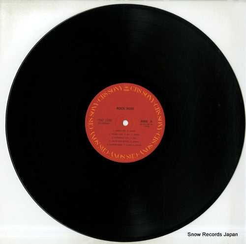 25AP1598 disc