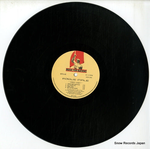MFN40 disc