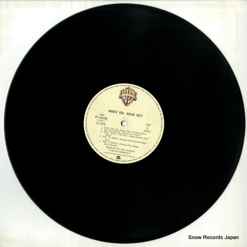 P-13335 disc