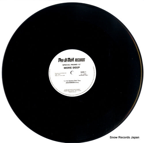 PROMORE-12001 disc