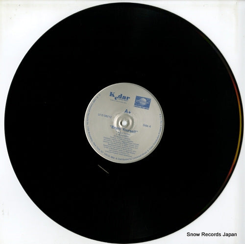 U12-56212 disc