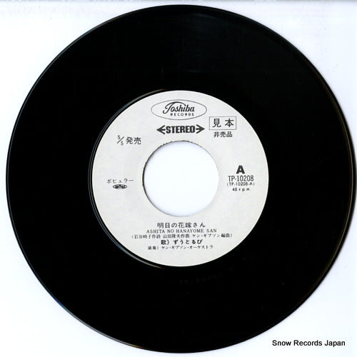 TP-10208 disc