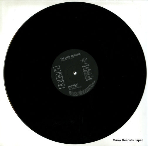 RCAT398 disc