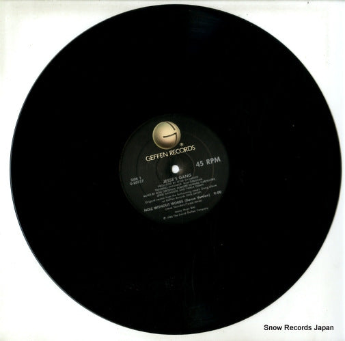 0-20527 disc