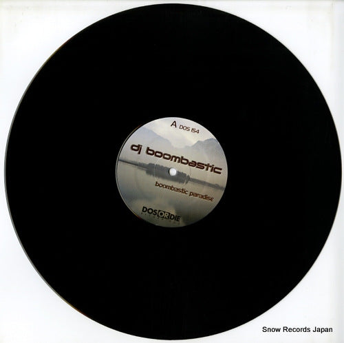 DOS154 disc