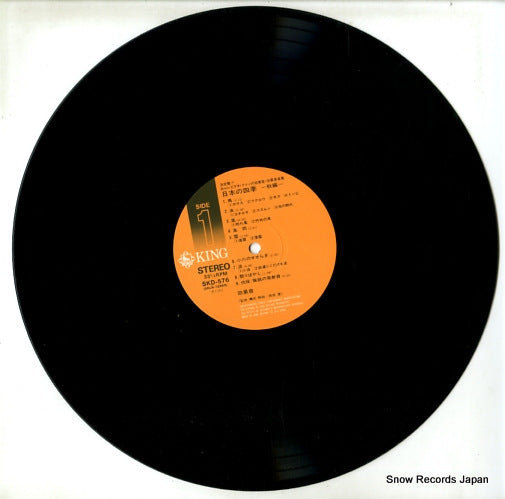 SKD576 disc