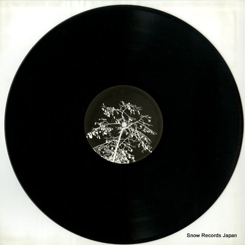 KR24 disc