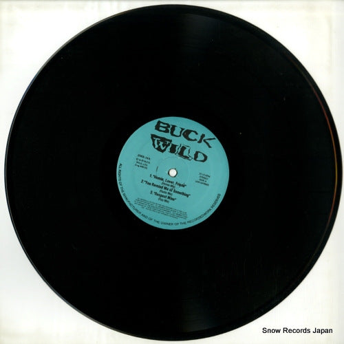 BWR-14 disc