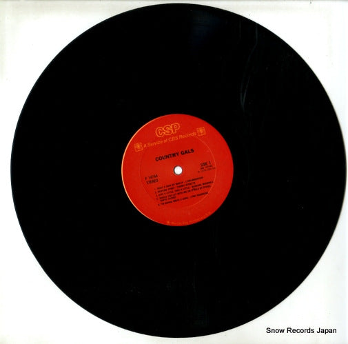 P14744 disc