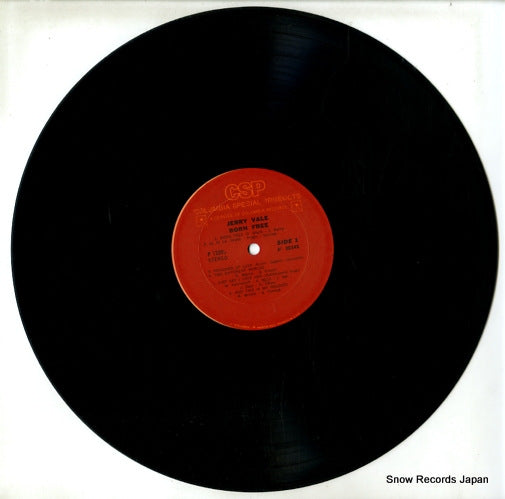 P13305 disc