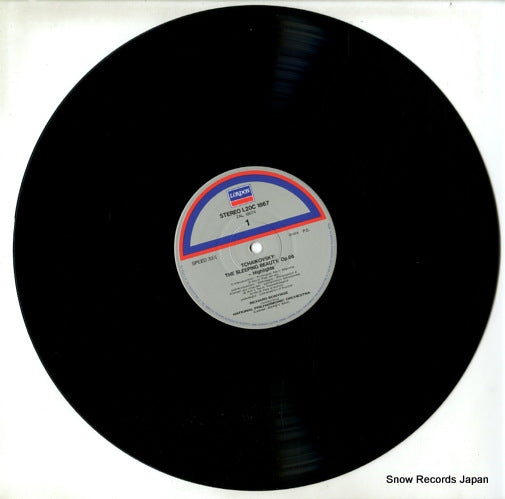 L20C-1867 disc