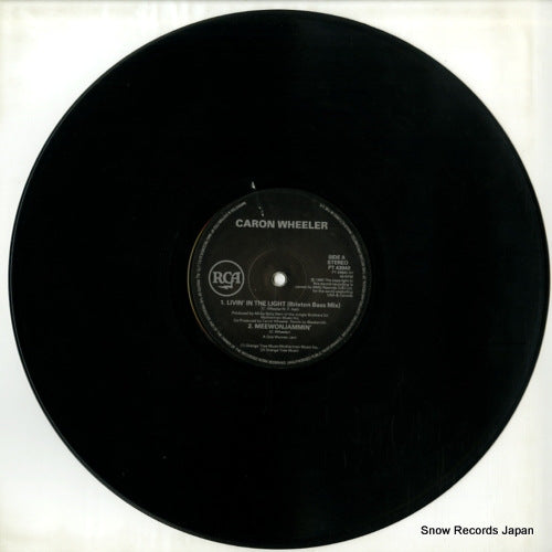 PT43940 disc