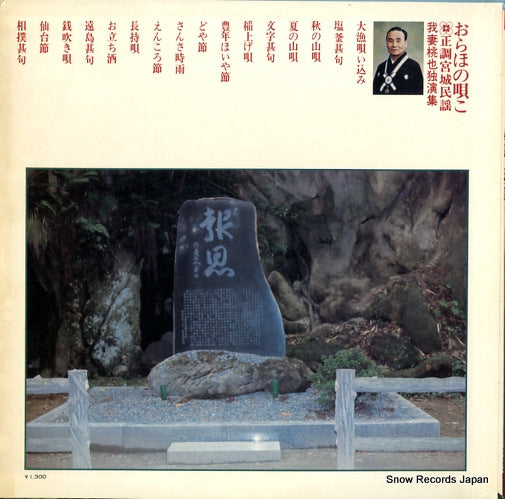 SW-9018 back cover