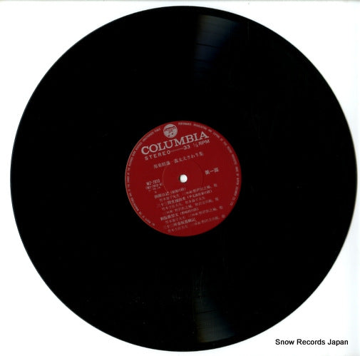WZ-7013 disc