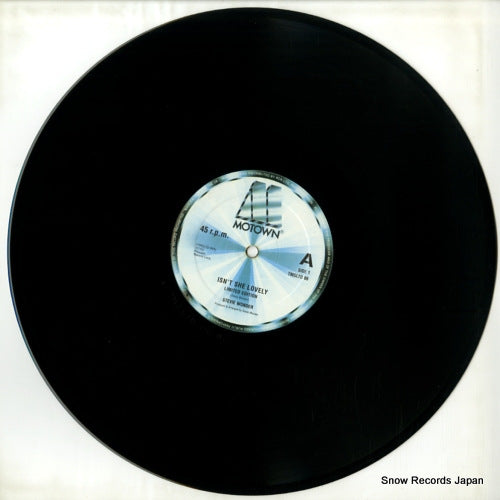 TMGLTD06 disc