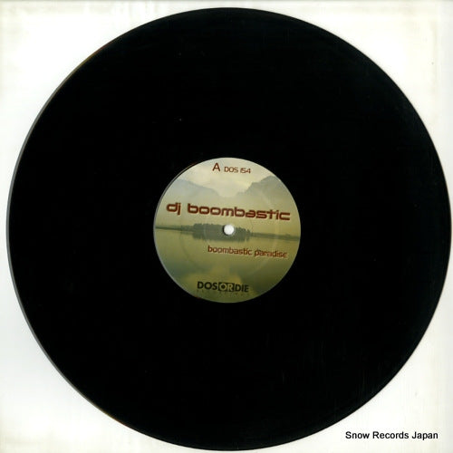 DOS154 disc