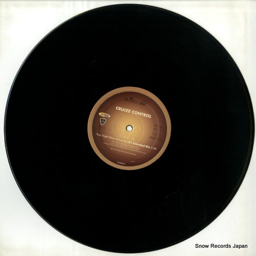 7432146033 disc