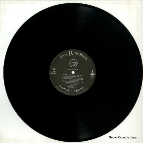 BVJJ-2913 / LSP-2399 disc