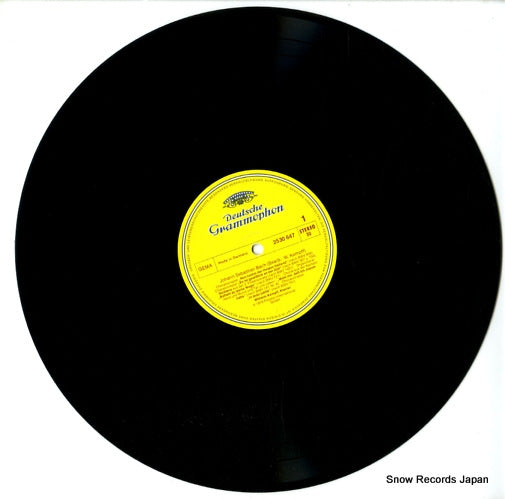 2530647 disc