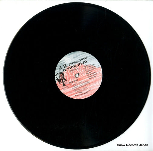 BLRLP6 disc