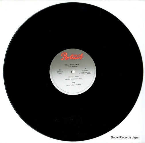 12.3P-666 disc