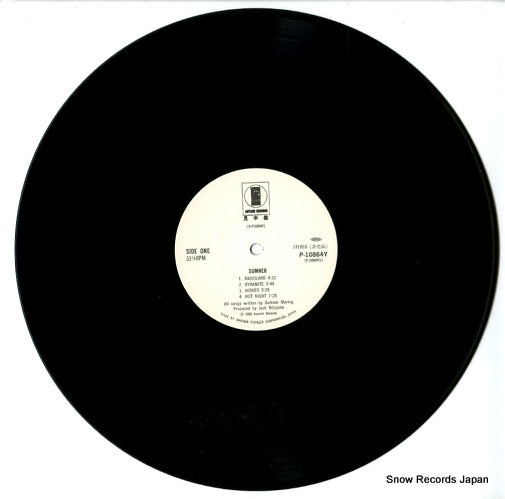 P-10864Y disc