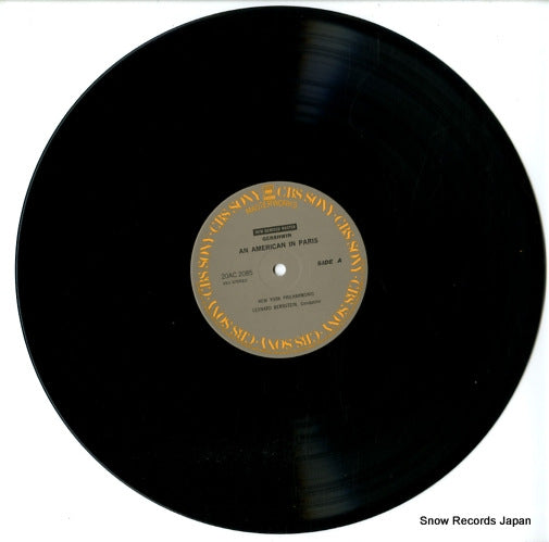 20AC2085 disc