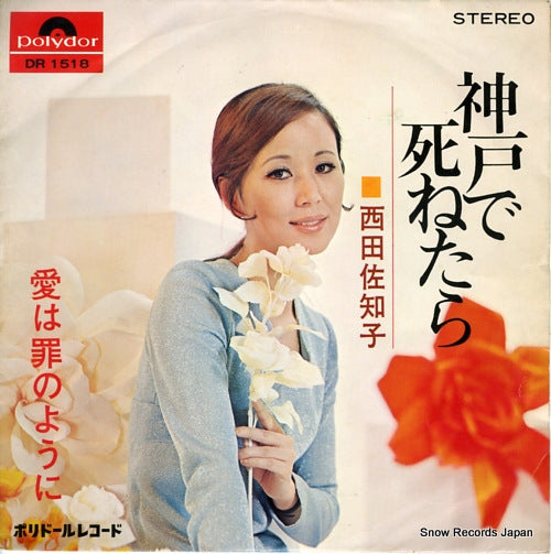 DR-1518 front cover