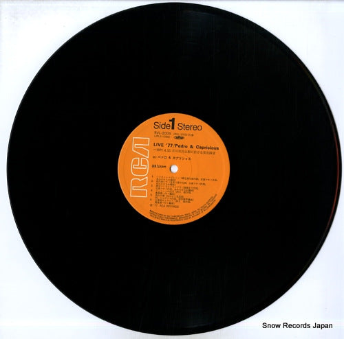 RVL-2005 disc