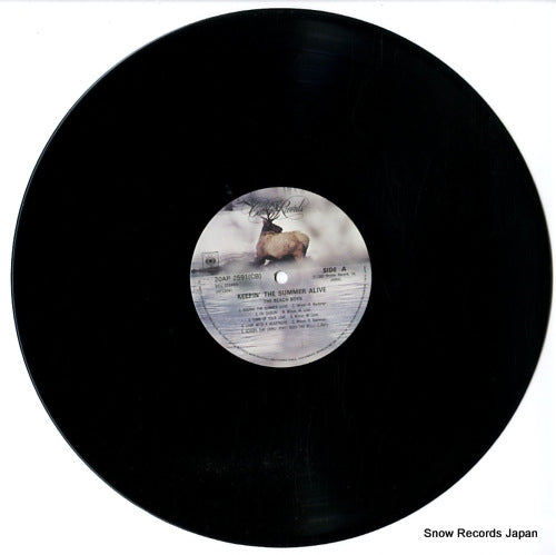 20AP2591 disc