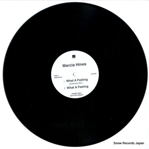 SAM00153 disc
