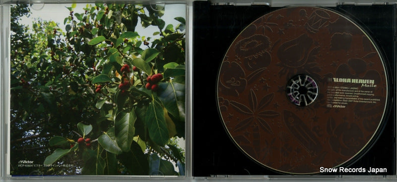 VICP-63824 disc