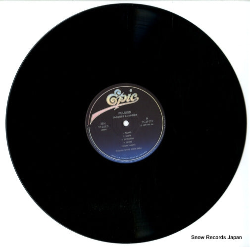 25.3P-213 disc