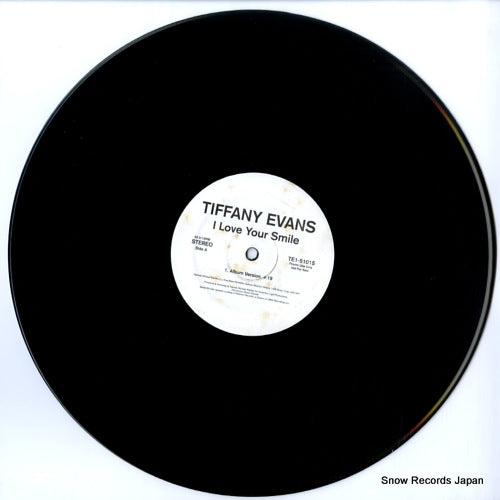 TE1-51015 disc
