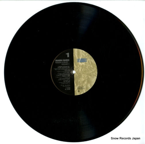 E57203 disc