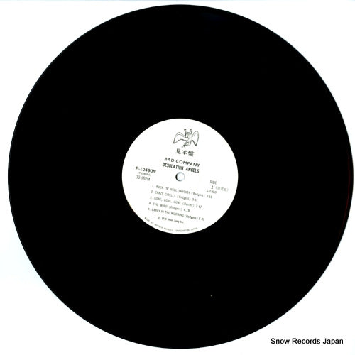 P-10490N disc