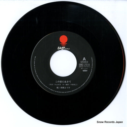 EWS-17018 disc