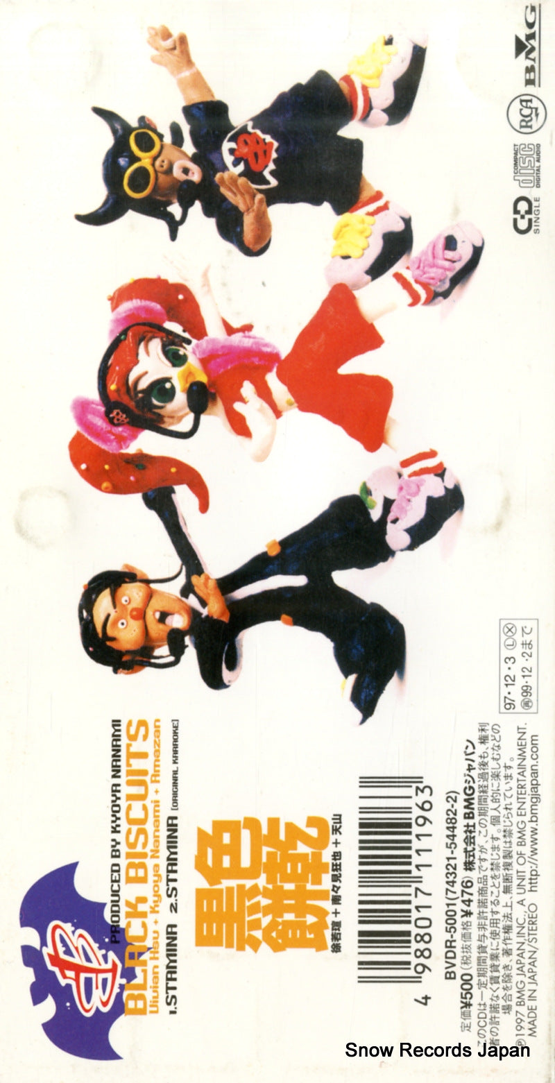 BVDR-5001 back cover