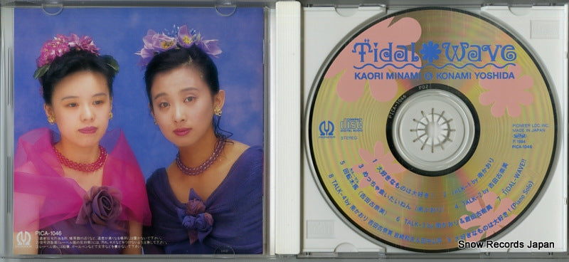PICA-1046 disc