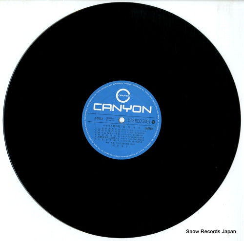 C-3013 disc