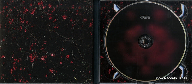 DNO196 disc