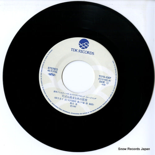 T07S-1087 disc