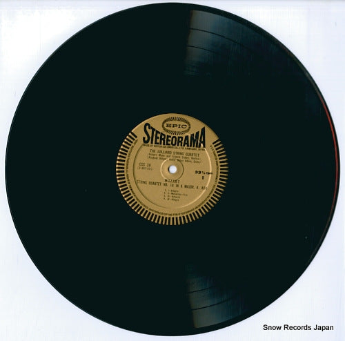 CSS-28 disc