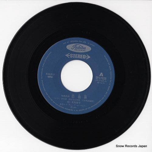 TP-17038 disc