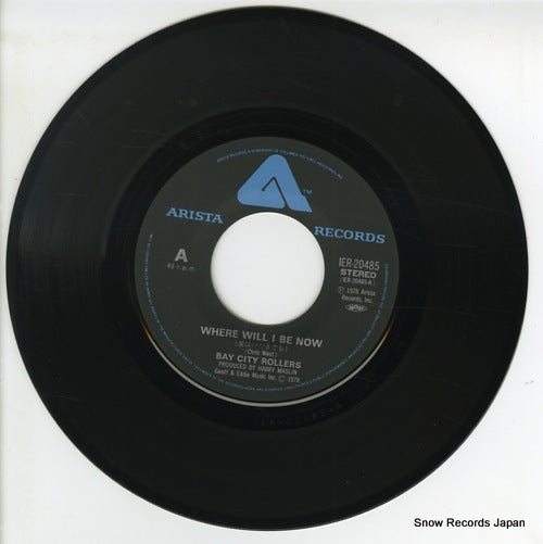 IER-20485 disc