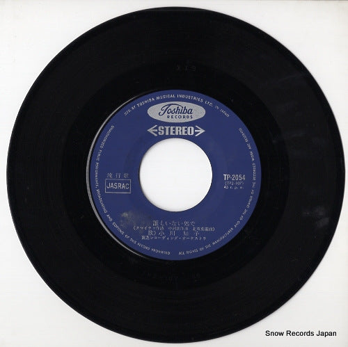 TP-2054 disc